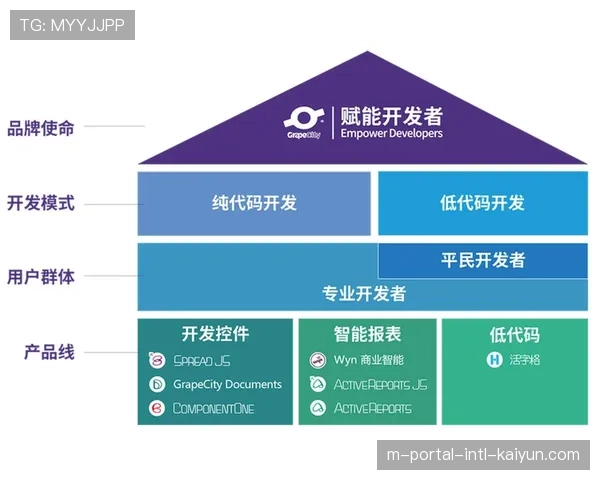 低代码开发平台兴起 加速定制化应用开发
